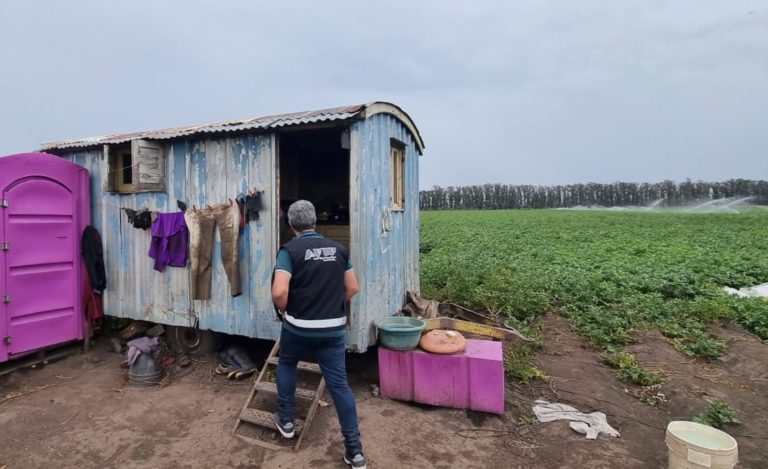 La Afip detectó explotación laboral en Campos de Papa imagen-38