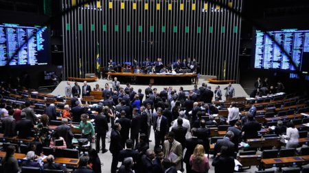 El Congreso de Brasil aprueba la intervención federal a la seguridad de Brasilia imagen-3