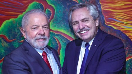 Alberto Fernández y Lula confirmaron que avanzan en una "moneda sudamericana común" imagen-7