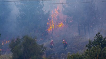 Entre Ríos, La Pampa y Río Negro, con focos activos de incendios forestales imagen-9