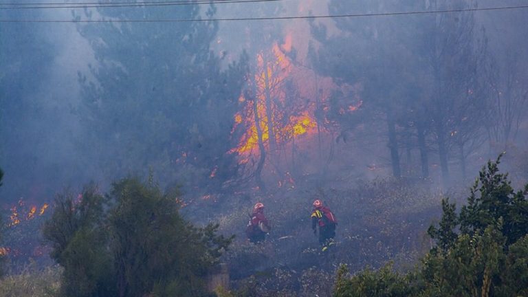 Entre Ríos, La Pampa y Río Negro, con focos activos de incendios forestales imagen-48