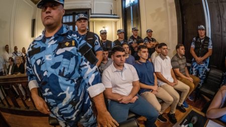 La Fiscalía pidió prisión perpetua para los ocho rugbiers por el crimen de Fernando imagen-5