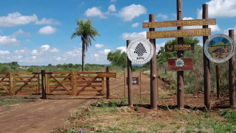 El encanto del lugar que preserva lo cultural, ecológico e histórico de Misiones imagen-4