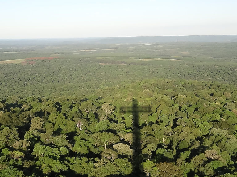 Misiones vuelve a tener un nivel de peligro de incendio bajo imagen-26