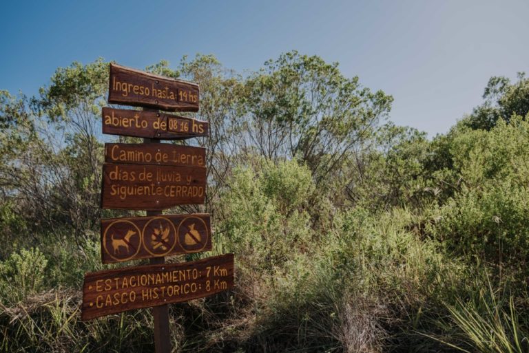Campo San Juan con 300 especies de aves protegidas, preservando la biodiversidad imagen-13