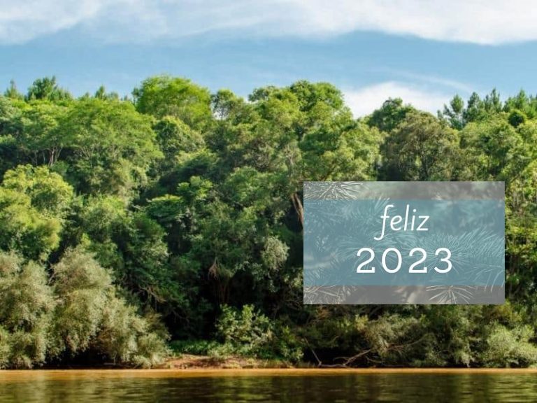 Feliz 2023: paz, prosperidad, solidaridad imagen-50