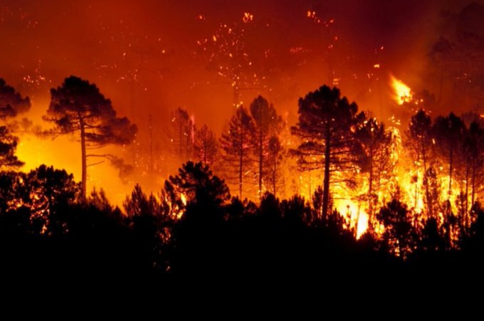El escenario de extremo calor en Misiones eleva al máximo los riesgos de incendios imagen-1