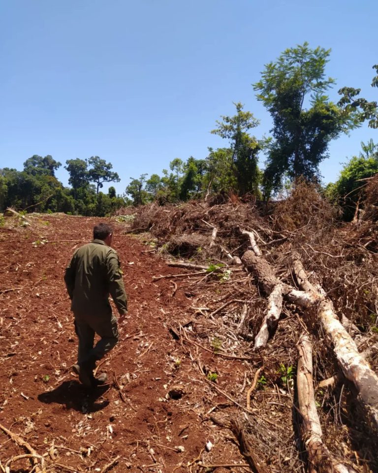 Mediante imágenes satelitales detectan actividades de cambio de uso de suelo no autorizadas en el norte provincial imagen-35