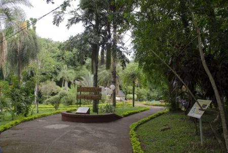 Afirman que el Jardín Botánico es el destino favorito de los turistas que visitan Posadas imagen-2