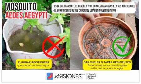 Combatí al Aedes aegypti: Después de la lluvia, no te olvides mantener tu patio libre de mosquitos imagen-9