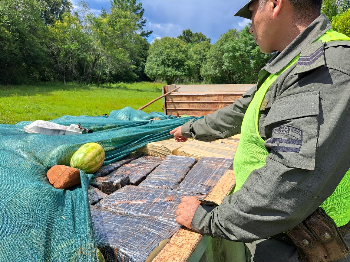 Secuestran más de 4 toneladas de marihuana ocultas entre sandías y melones imagen-1