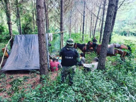Detuvieron a tres cazadores furtivos armados con escopetas y desmantelaron su campamento imagen-6