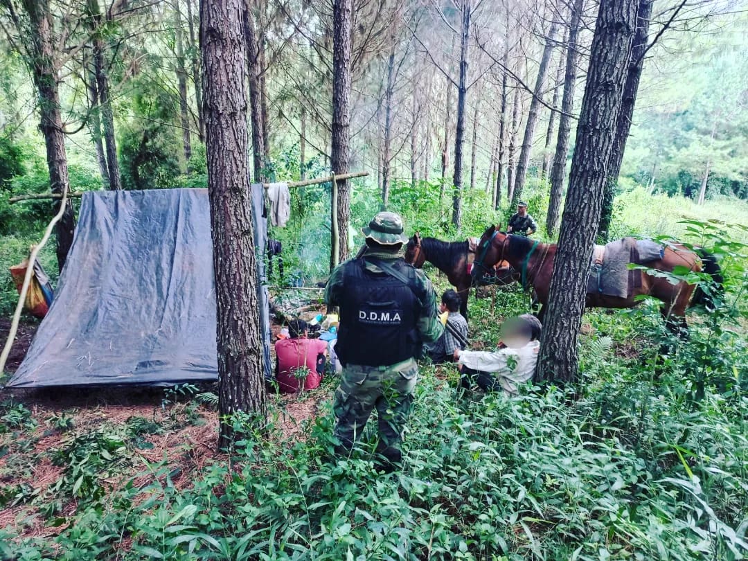 Detuvieron a tres cazadores furtivos armados con escopetas y desmantelaron su campamento imagen-1