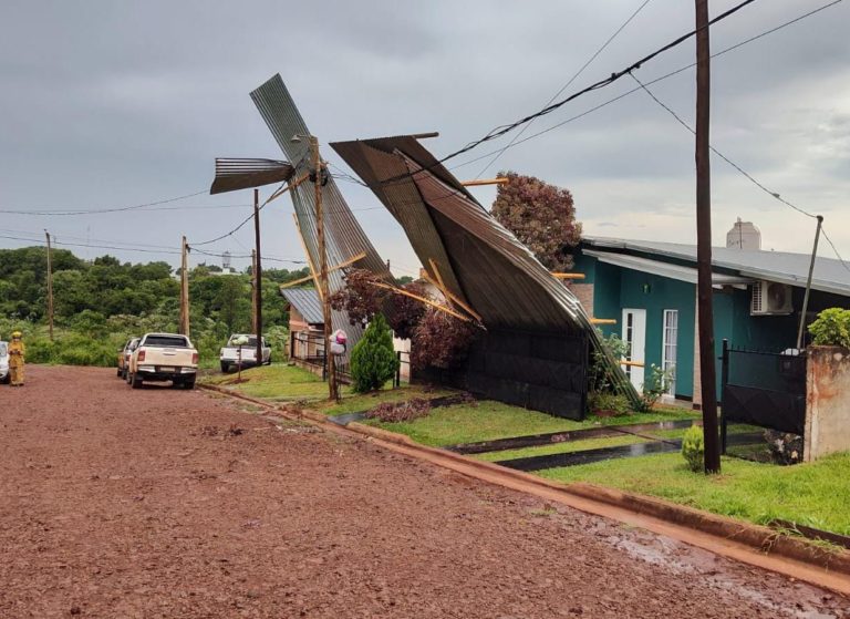 Temporal provocó voladuras de techos, caídas de árboles y postes en las zonas Centro y Norte imagen-40