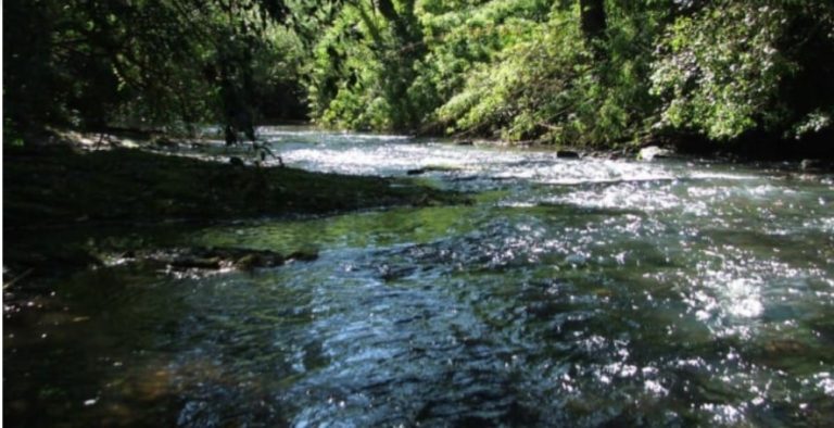 Misiones es la única provincia con porcentajes positivos de agua utilizable en suelo para cultivos imagen-11