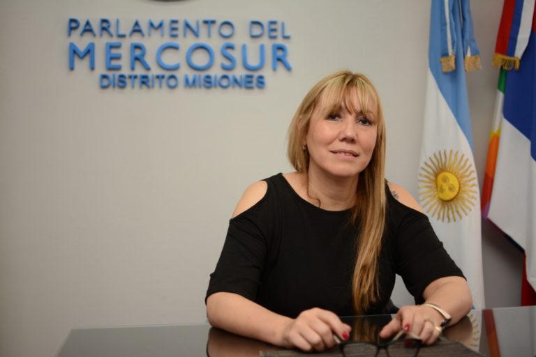 La Parlamentaria Britto solicita que la posible moneda argentina-brasilera sea declarada de interés regional imagen-20