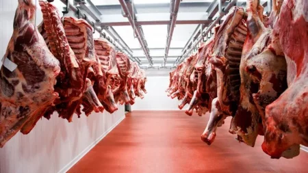 Preocupación en el sector cárnico: el precio de la carne se contrajo 17% en noviembre imagen-2