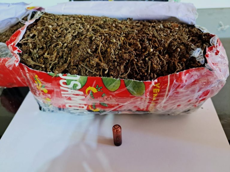 Descubren marihuana en paquetes de yerba mate y harina imagen-40