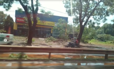 Evalúan los destrozos que provocó el violento temporal en Virasoro imagen-10