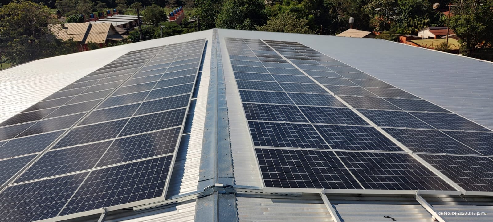 Cooperativa agrícola incorpora paneles solares para mejorar la eficiencia energética en la elaboración de té imagen-1