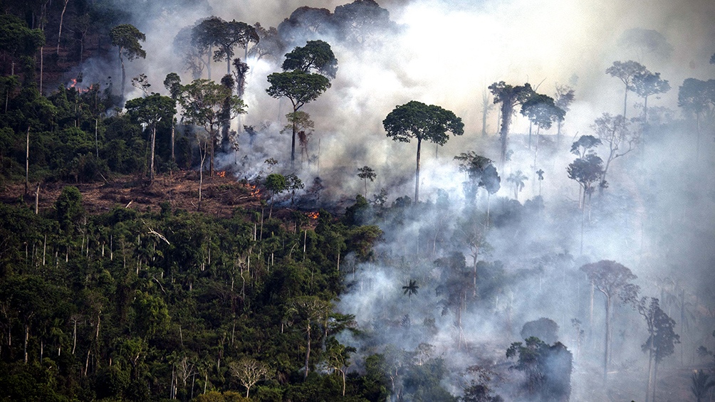 Nuevo récord en la deforestación de la Amazonia brasileña imagen-1