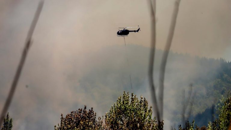 Corrientes, Entre Ríos y Chubut registran focos activos imagen-34