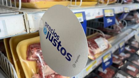 Ya rige Precios Justos Carne con rebajas del 30% en las grandes cadenas imagen-7