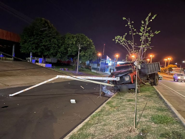 Camión despistó en la avenida Quaranta y terminó contra una poste de luz imagen-23