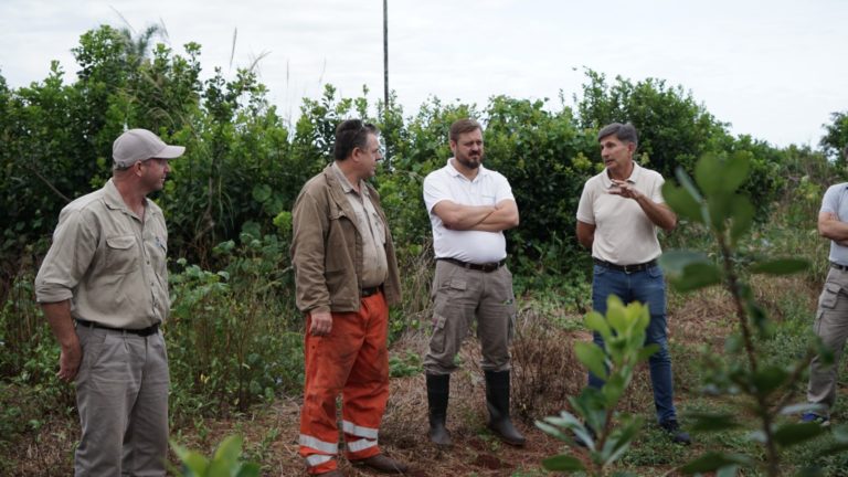 Yerba Mate: "Tenemos reservas naturales y monte, significan un valor agregado importante al momento de promocionar nuestro producto" imagen-11