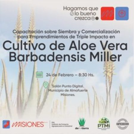 Incentivan el cultivo de Aloe Vera y su comercialización imagen-9