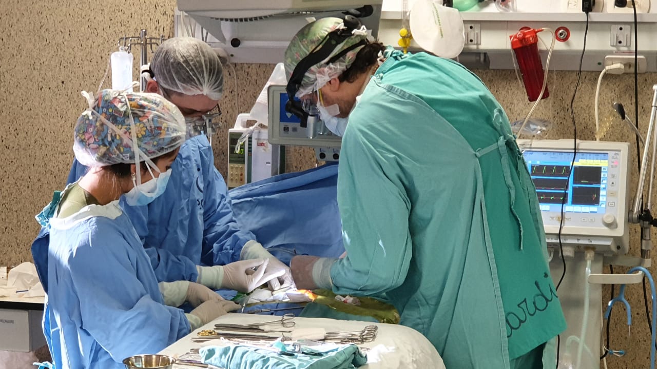 Hospital de Pediatría: 200 cirugías cardiovasculares se realizaron desde la apertura del Servicio imagen-1