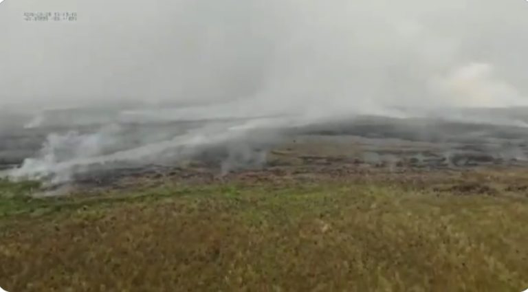 Otra vez los incendios afectan los Esteros de Iberá y humedales en Corrientes imagen-24