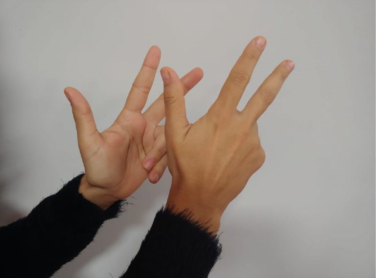 Una invitación para aprender a comunicarse en lengua de señas argentina imagen-16