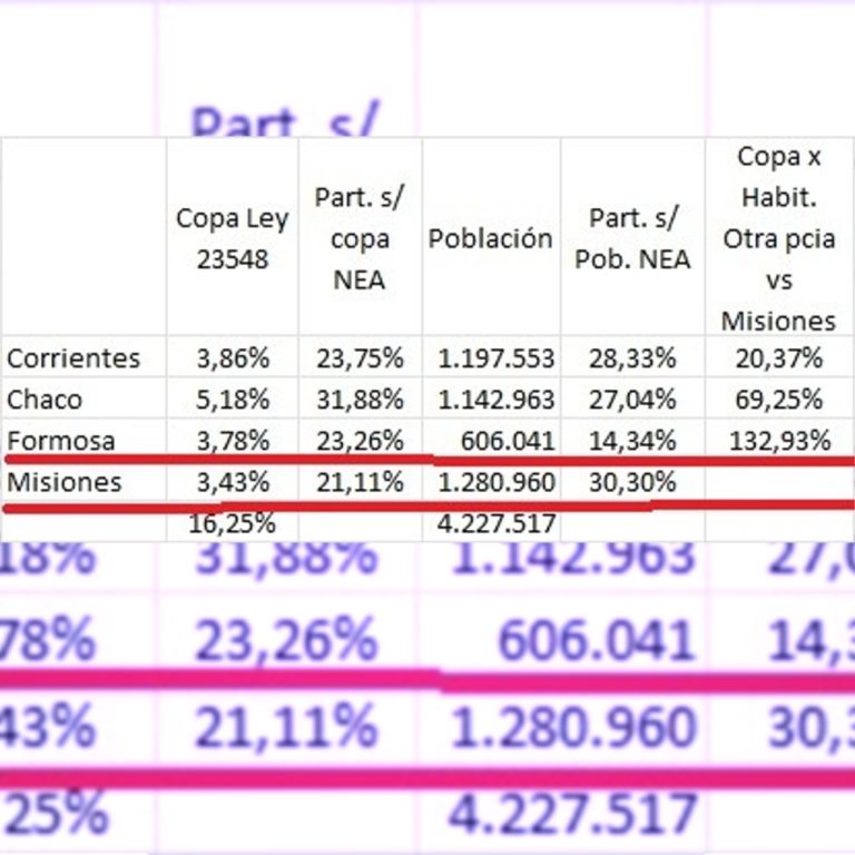 Censo 2022 y asimetrías: "Un habitante de Formosa recibe más del doble que uno de Misiones, que es la más poblada del NEA", dice abogado y cuestiona la ley de Coparticipación por "inconstitucional" imagen-31