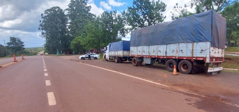 Secuestraron camiones con cargas ilegales de granos: 70 toneladas en las últimas semanas imagen-39