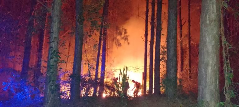 Incendio en un pinar de Mártires: tras siete horas de trabajo extinguen parte de los focos ígneos imagen-9