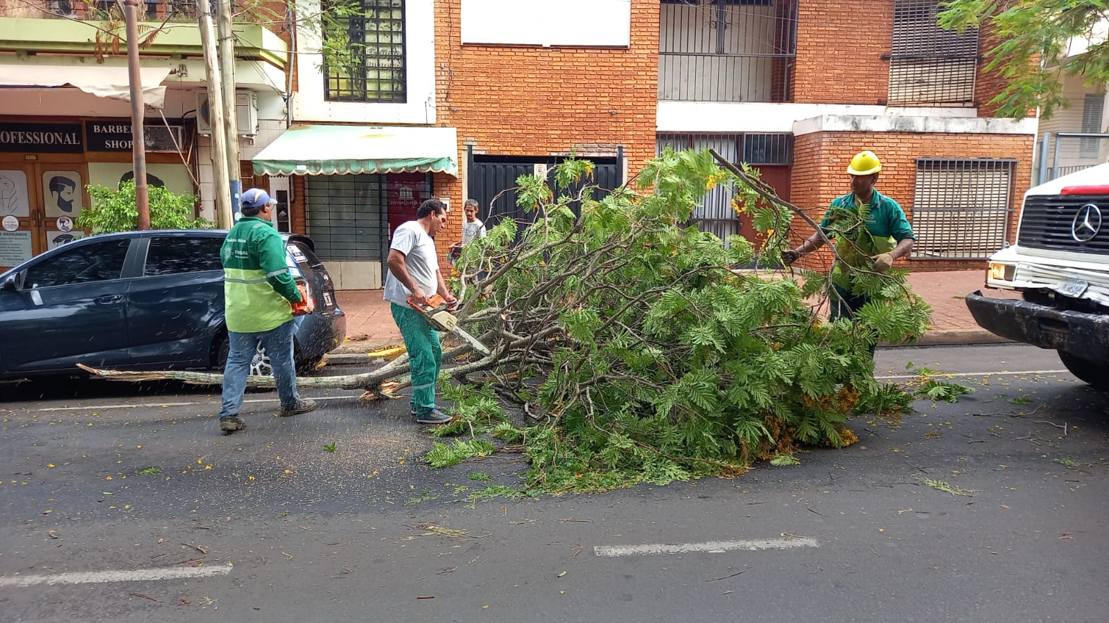 Cuadrillas municipales despejan árboles y ramas caídas durante el temporal imagen-1