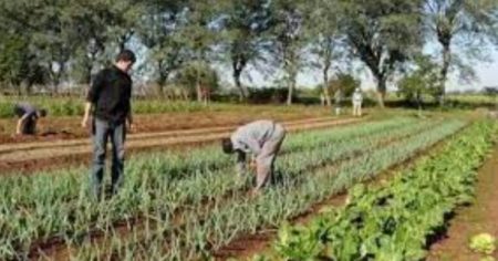 Ante presuntas estafas a productores agrarios, Ministerio recuerda que "no es agente de cobro" imagen-7