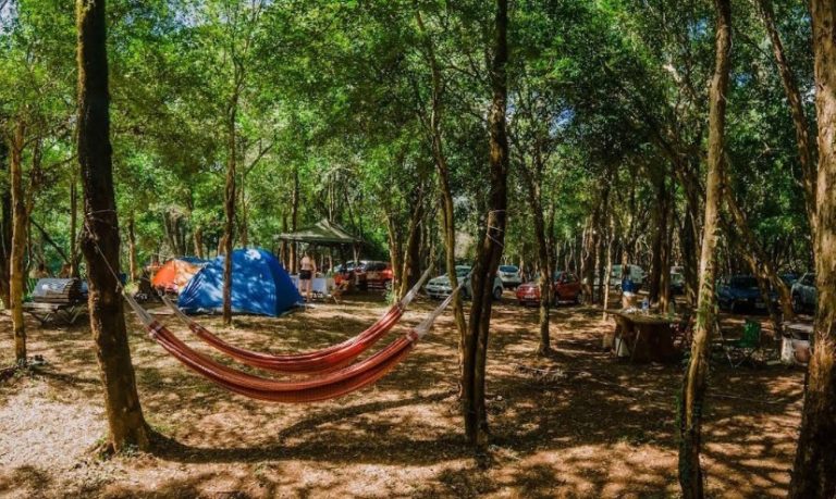 Denuncian violencia, presunto "abuso de poder" y desmonte ilegal en predio del camping Yasý imagen-9