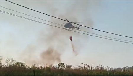 Incendios rurales: las zonas Centro y Sur, las más afectadas con focos ígneos "controlados" imagen-2