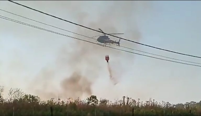 Incendios rurales: las zonas Centro y Sur, las más afectadas con focos ígneos "controlados" imagen-47