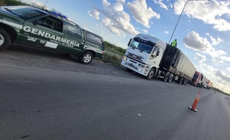 Transportan 90 toneladas de soja sin aval legal en tres camiones imagen-2