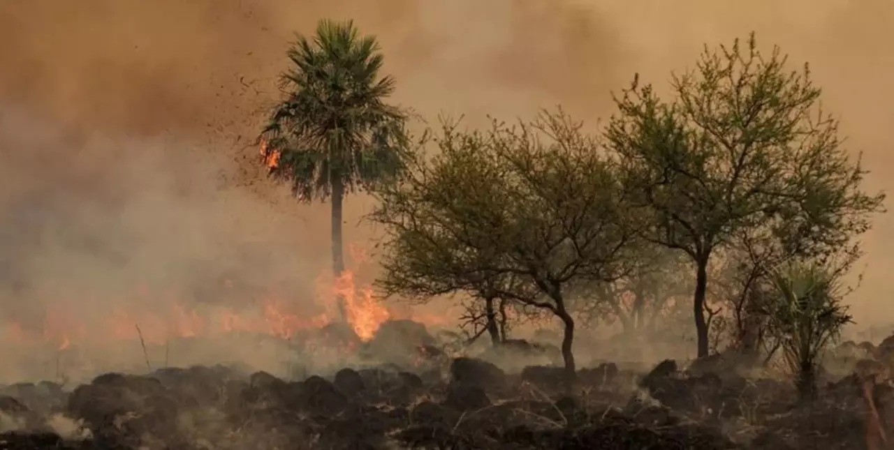 Corrientes y Entre Ríos son las únicas provincias con incendios forestales activos imagen-1