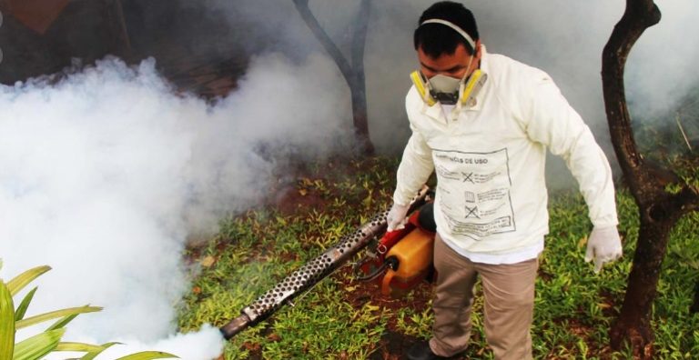 Chikungunya: síntomas y secuelas de la enfermedad que tiene en alerta a la región imagen-33