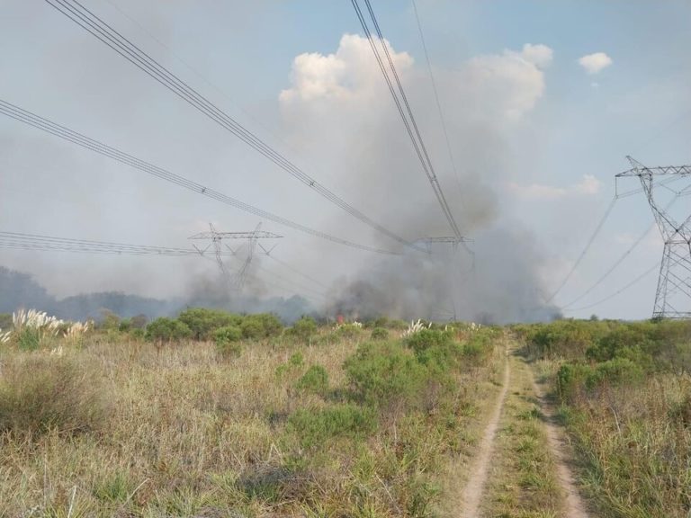 Corte de luz masivo: por un incendio Atucha I salió de servicio y hay apagón en varias provincias imagen-37