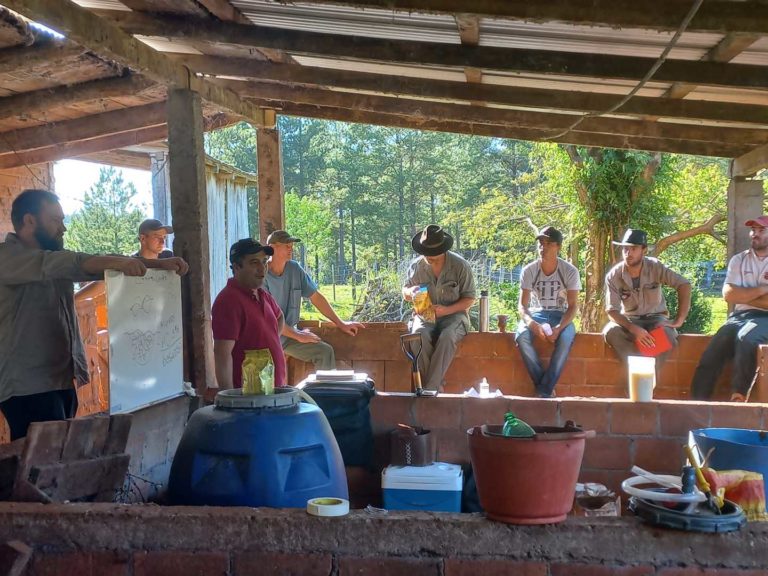 Cómo preparar biofertilizantes para mejorar la producción de yerba mate imagen-26