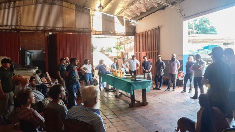 Yerba orgánica y artesanal, con destacado cuidado ambiental desde la planta hasta el paquete imagen-35