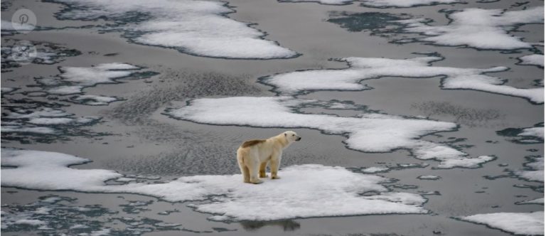 Calentamiento global: la temperatura aumentará 1,5º hacia 2035, pero aún se está a tiempo de actuar imagen-9