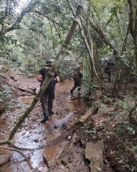 Guardaparques detectan y desmantelan campamento de cazadores furtivos en la selva imagen-8