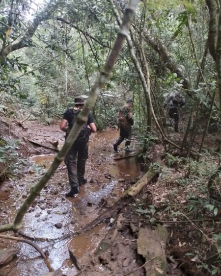 Guardaparques detectan y desmantelan campamento de cazadores furtivos en la selva imagen-2